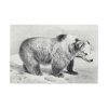 91638-76.jpg Vintage Bear Illustration by Richard Lydekker Standard Canvas