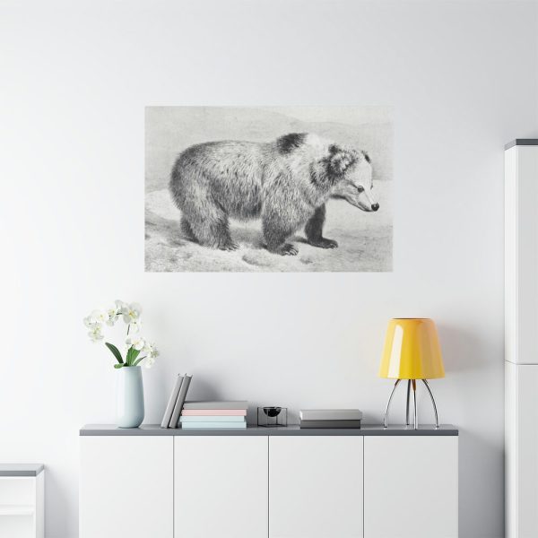91638-77.jpg Vintage Bear Illustration by Richard Lydekker Standard Canvas