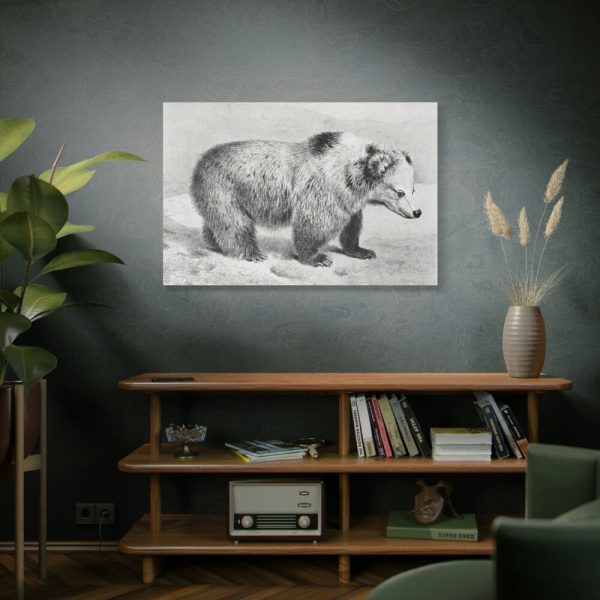 91638-79.jpg Vintage Bear Illustration by Richard Lydekker Standard Canvas