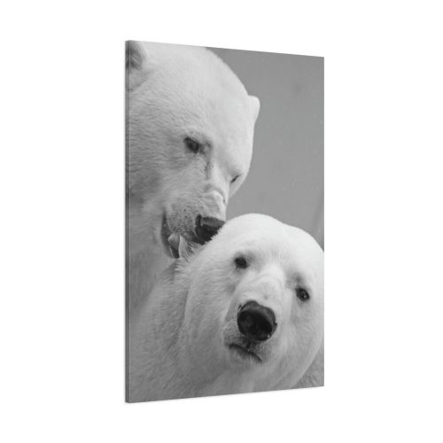 91655-15.jpg Polar Bears in the Winter Standard Canvas