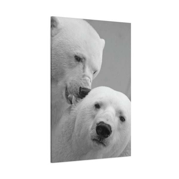 91655-15.jpg Polar Bears in the Winter Standard Canvas