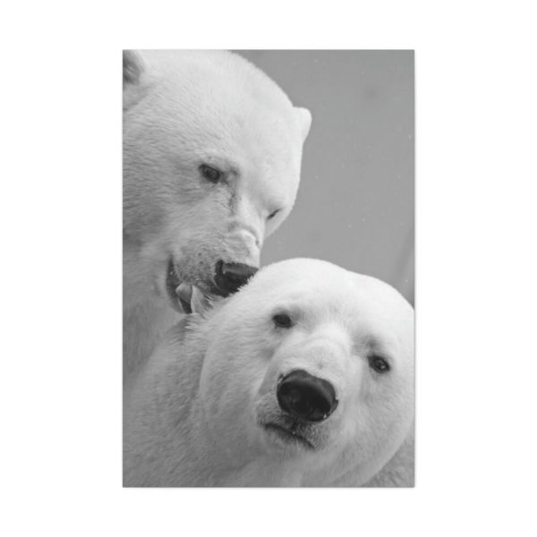91655-16.jpg Polar Bears in the Winter Standard Canvas