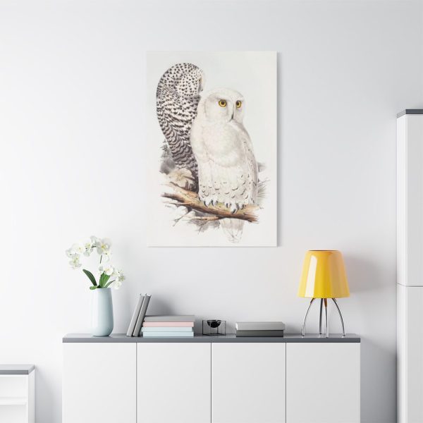 91655-187.jpg Snowy Owl by John G., Edward L. and Charles J. H. Standard Canvas