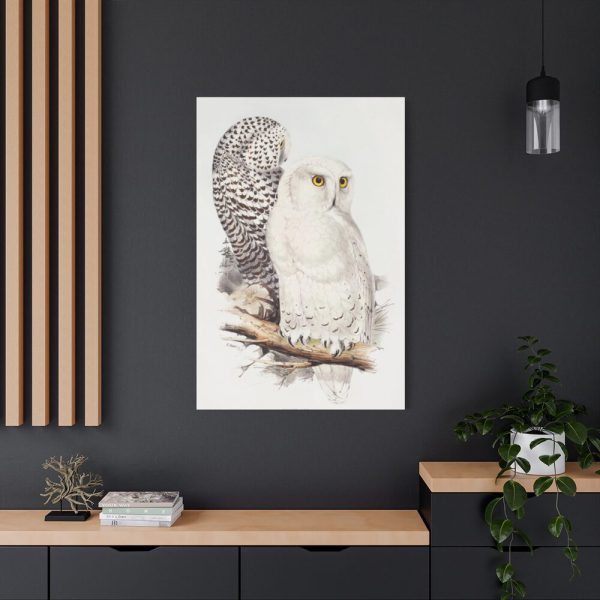 91655-188.jpg Snowy Owl by John G., Edward L. and Charles J. H. Standard Canvas