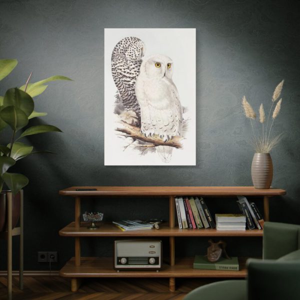 91655-189.jpg Snowy Owl by John G., Edward L. and Charles J. H. Standard Canvas
