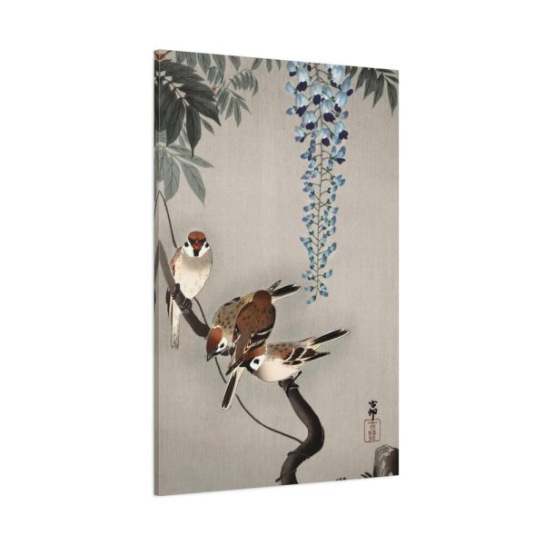 91655-195.jpg Ring sparrows at wisteria Standard Canvas