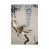 91655-196.jpg Ring sparrows at wisteria Standard Canvas