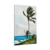 91655-95.jpg Palm Tree, Nassau by Winslow Homer Standard Canvas