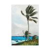 91655-96.jpg Palm Tree, Nassau by Winslow Homer Standard Canvas
