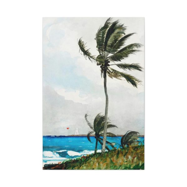 91655-96.jpg Palm Tree, Nassau by Winslow Homer Standard Canvas