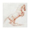 91663-1.jpg A Prancing Horse, Facing Right by George Stubbs Standard Canvas