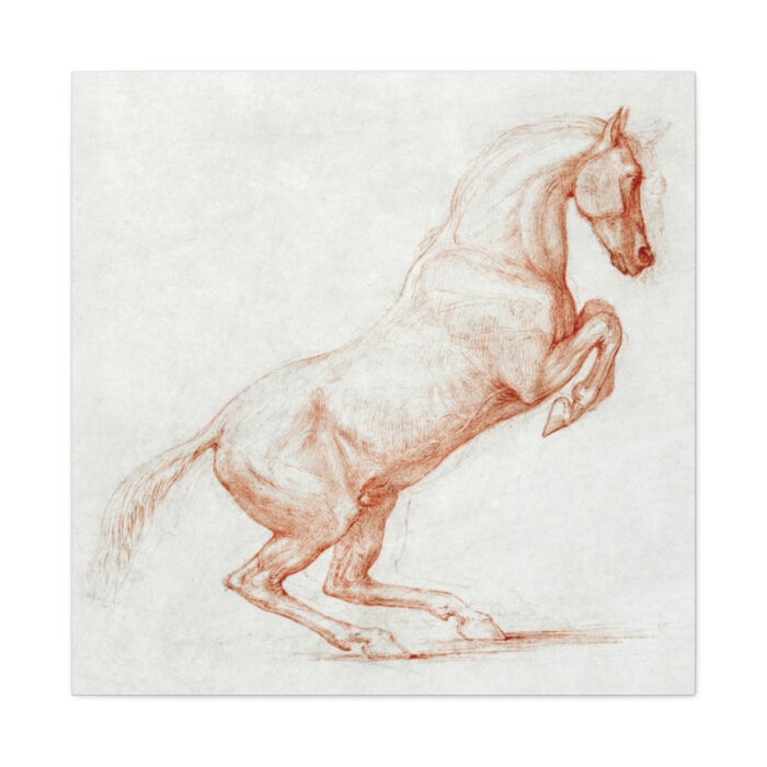 A Prancing Horse, Facing Right by George Stubbs Standard Canvas - Image 2
