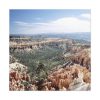 91663-31.jpg Bryce Canyon National Park by Carol M. Highsmith Standard Canvas