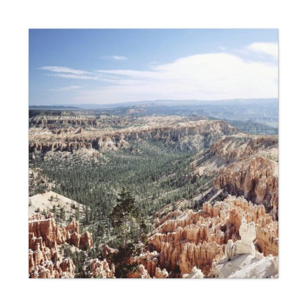 91663-31.jpg Bryce Canyon National Park by Carol M. Highsmith Standard Canvas