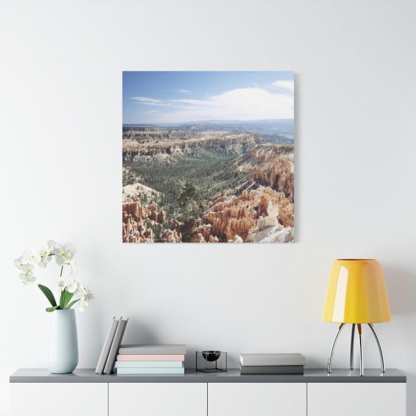 91663-32.jpg Bryce Canyon National Park by Carol M. Highsmith Standard Canvas