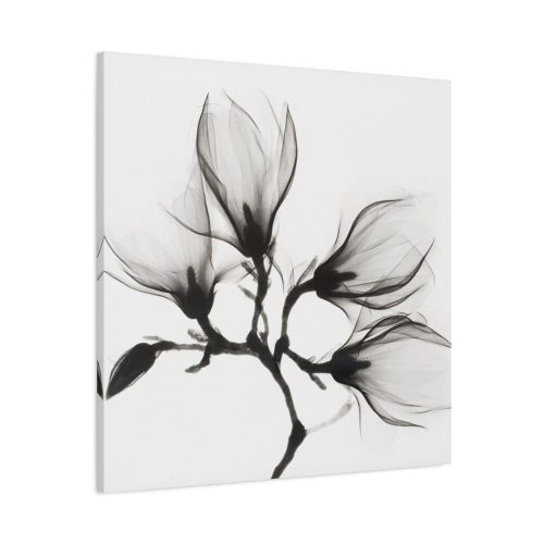 91663-70.jpg Magnolia Branch with Four Flowers Standard Canvas