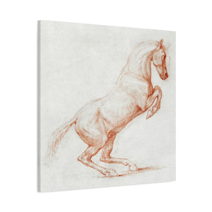 A Prancing Horse, Facing Right by George Stubbs Standard Canvas - Image 1