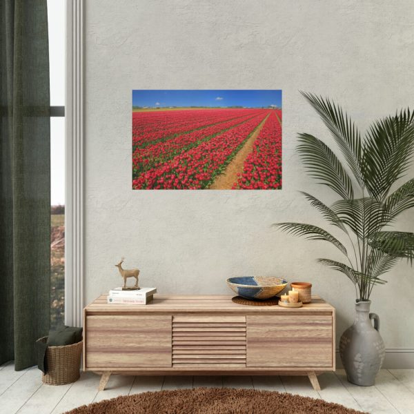 92386-4.jpg Red Tulips Field Poster