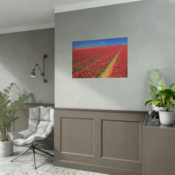 92386-5.jpg Red Tulips Field Poster