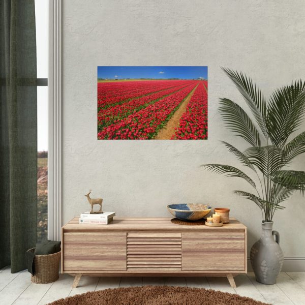 92387-4.jpg Red Tulips Field Poster