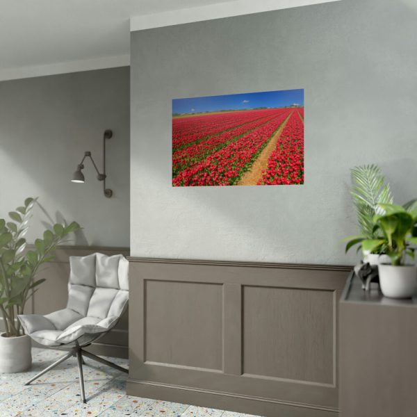 92387-5.jpg Red Tulips Field Poster