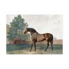 92408.jpg Anvil by George Stubbs Poster