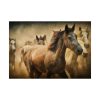 92408-15.jpg Herd of Horses Poster