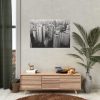 92408-154.jpg Bela Vista, Brazil Poster
