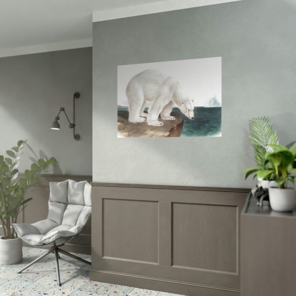 Polar Bear by John Woodhouse Audubon Poster