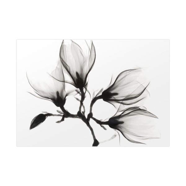 92408-210.jpg Magnolia Branch with Four Flowers Poster