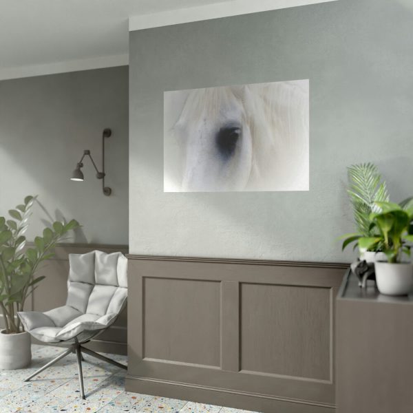 Closeup Shot of a White Horse Poster