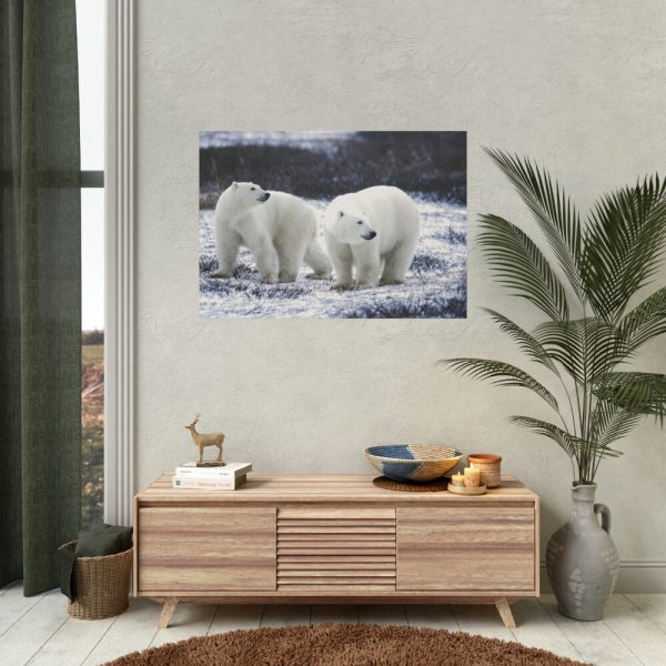 Polar Bears Walking Together Poster