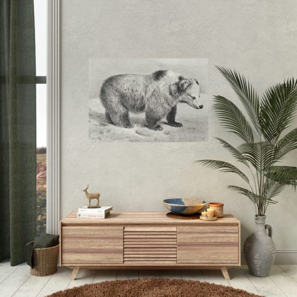 Vintage Bear Illustration by Richard Lydekker Poster