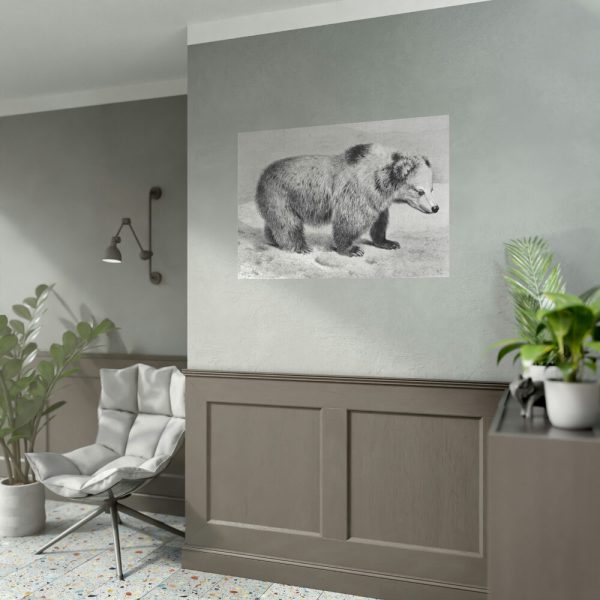 Vintage Bear Illustration by Richard Lydekker Poster