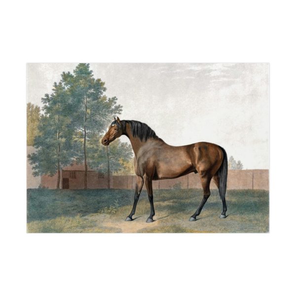 92408.jpg Anvil by George Stubbs Poster