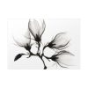 92409-210.jpg Magnolia Branch with Four Flowers Poster
