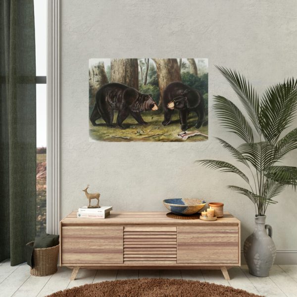 92409-25.jpg American Black Bears by John Woodhouse Audubon Poster