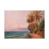 92409-258.jpg Lahaina Beach West Maui by D. Howard Hitchcock Poster