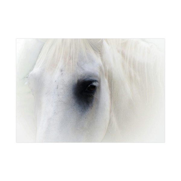 Closeup Shot of a White Horse Poster
