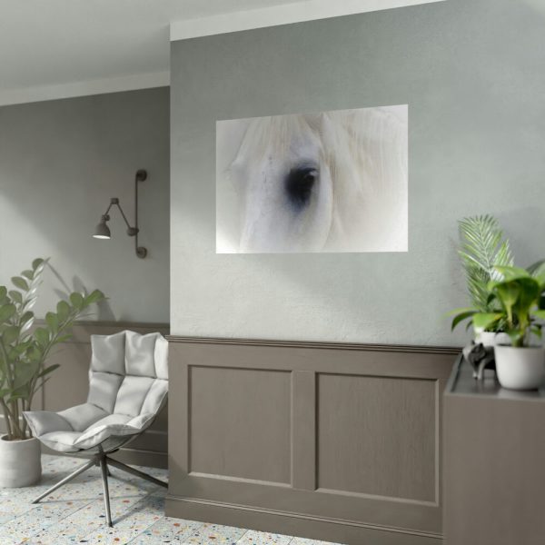 Closeup Shot of a White Horse Poster