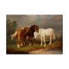 92409-3.jpg Horses after Carl Wahlbom by Magnus Von Wright Poster