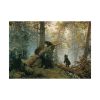 92409-36.jpg Shishkin, Ivan - Morning in a Pine Forest Poster