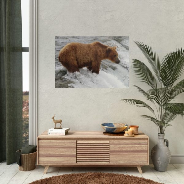 Grizzly Bear In National Park Poster