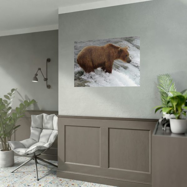 Grizzly Bear In National Park Poster