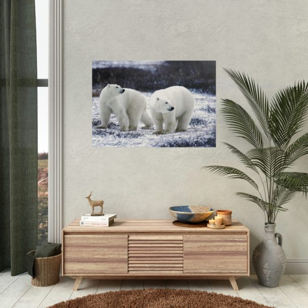Polar Bears Walking Together Poster
