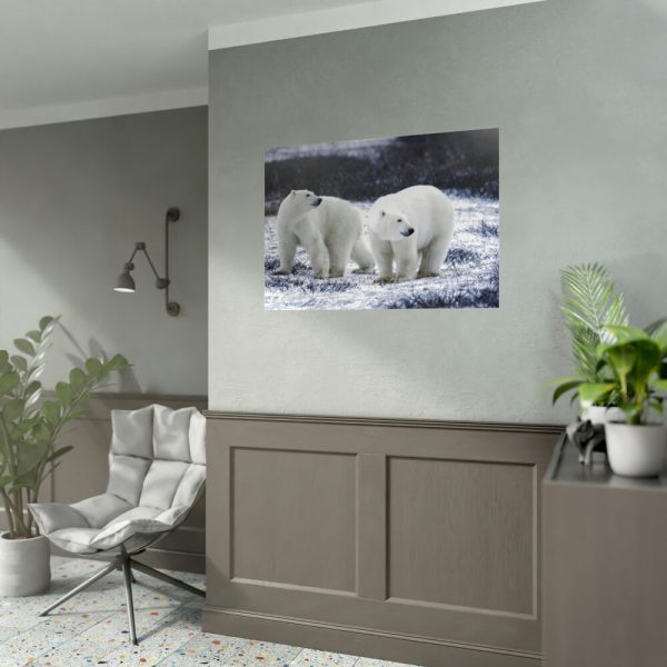 Polar Bears Walking Together Poster