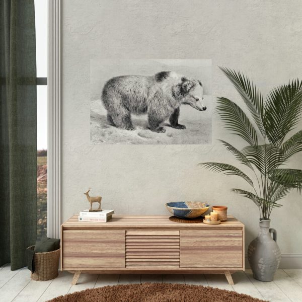 Vintage Bear Illustration by Richard Lydekker Poster