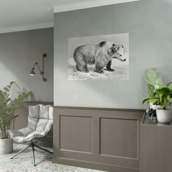 Vintage Bear Illustration by Richard Lydekker Poster