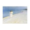 92409-75.jpg Summer evening on Skagen's Beach by Peder Severin Kroyer Poster