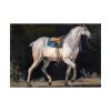 92409-9.jpg Saddled Gray Horse Walking by Jacques-Laurent Agasse Poster